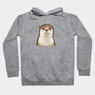 Otter Face 4 Hoodie